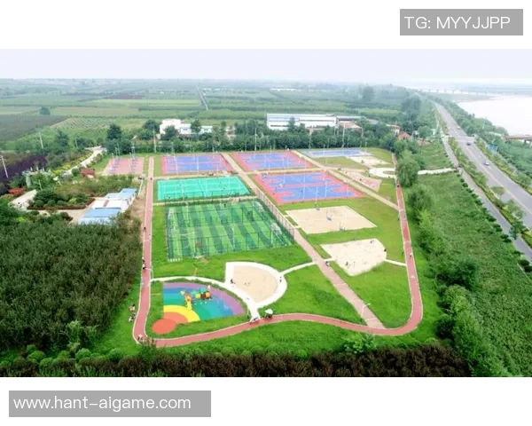 推动足球事业发展实现十三五规划目标的战略路径与实施方案探讨