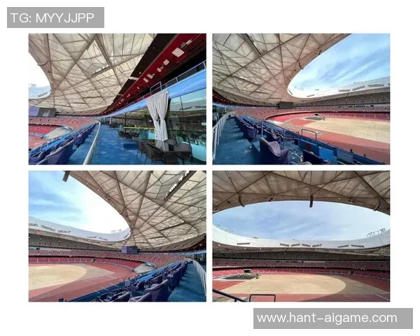 鸟巢足球场地的魅力与历史探秘以及未来发展展望